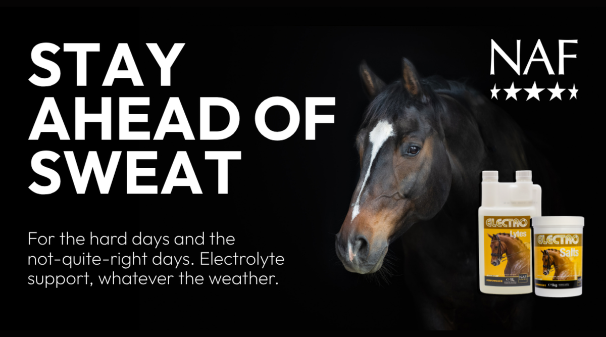 Electrolytes: when to use them and which format to choose