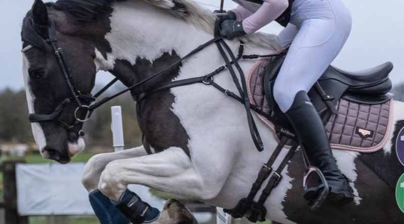 Tried & Tested - Ariat Palisade Tall Boots