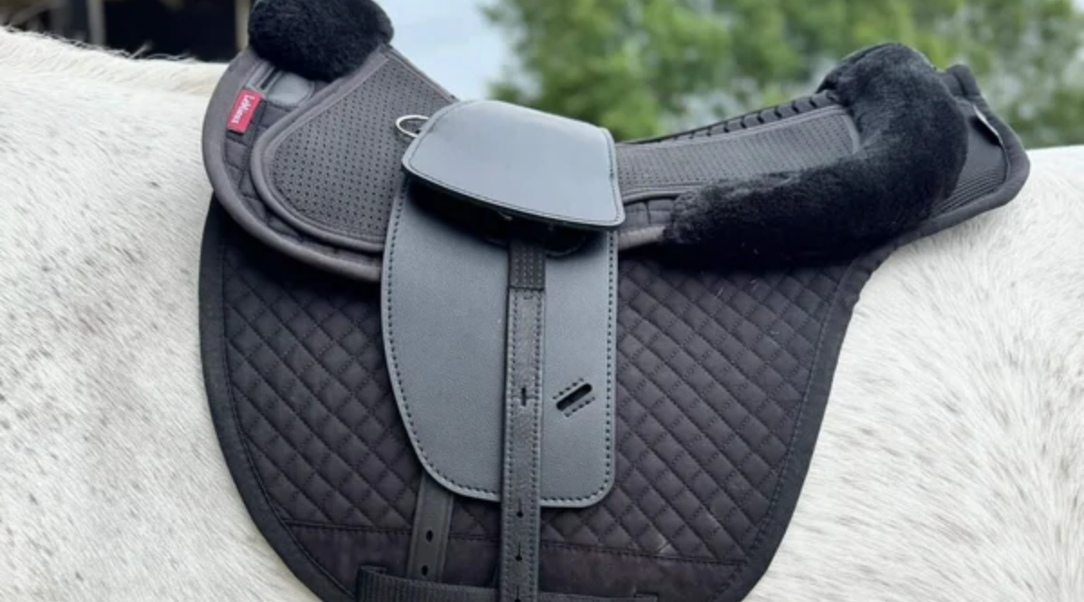 Introducing Total Contact Saddles at R&R Country: A Treeless Saddle Designed for Comfort, Connection and Fit