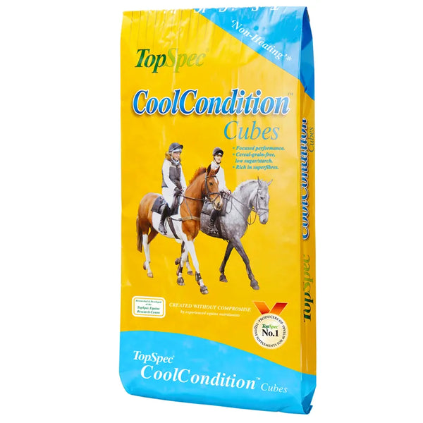 TopSpec CoolCondition Cubes - 20kg