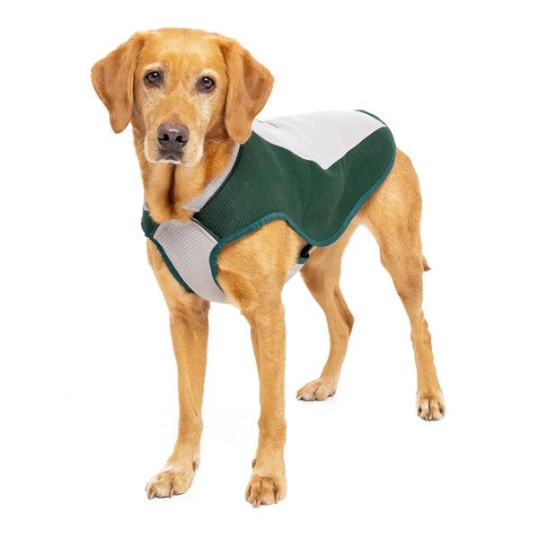 Ruff and Tumble Cooling Coat