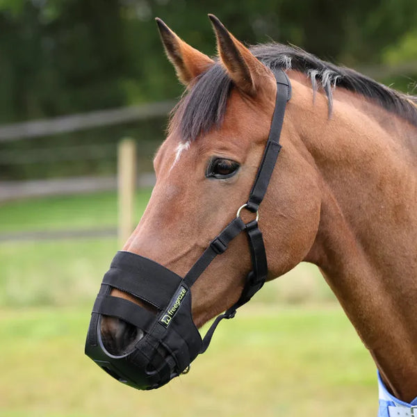 FreeGraze AirFlow Grazing Muzzle - Black