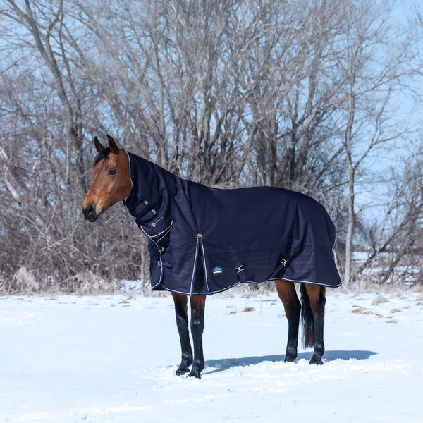 Weatherbeeta Comfitec Prelim Turnout Combo 220g - Navy/ Embossed Plaid