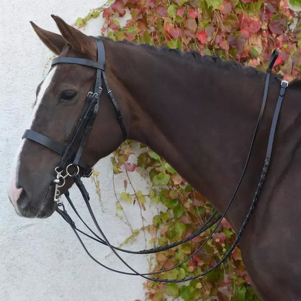 Mackey Classic Double Bridle - Brown