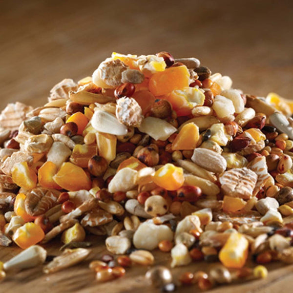Marriages Berry Premium Wheat Free Wild Bird Food