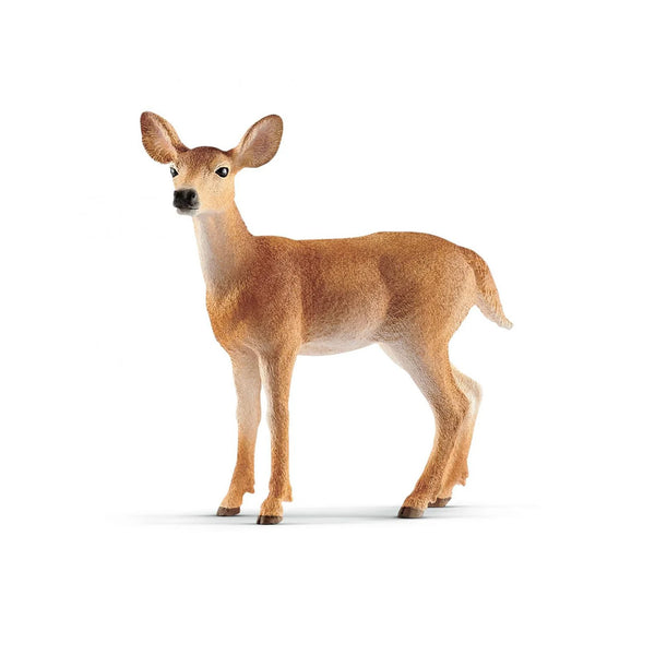 14819 WHITE-TAILED DOE - O/S