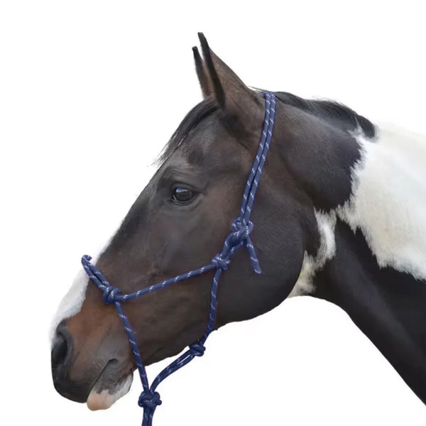 Hy Rope Halter - Navy