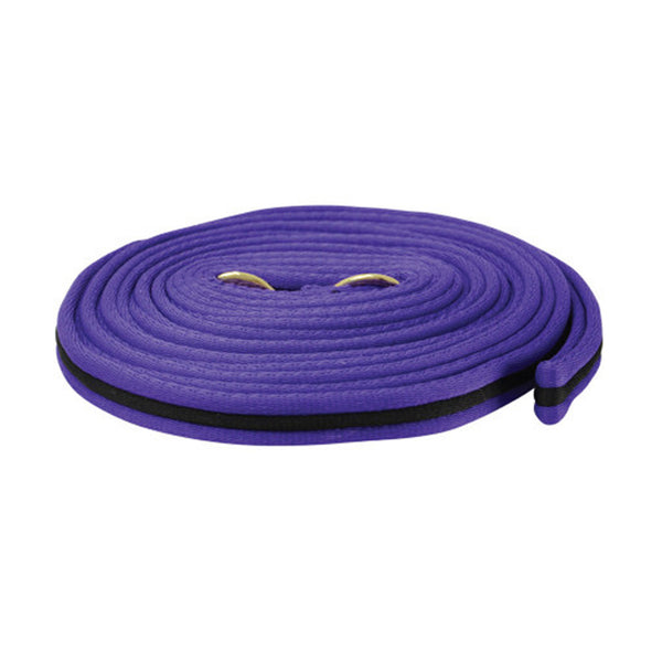 Hy Soft Webbing Lunge Rein - Purple/Black