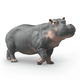Schleich Hippopotamus