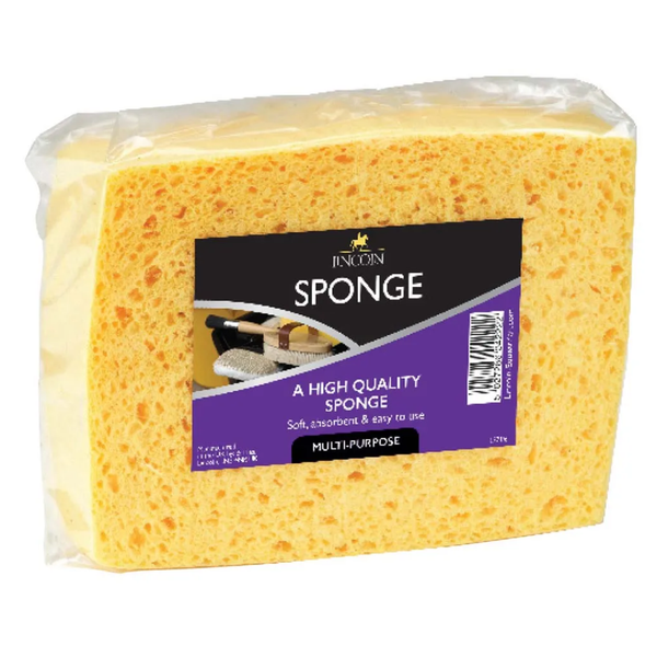 Lincoln Sponge