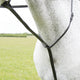 Velociti GARA Standing Martingale - Havana