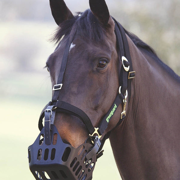 Greenguard Headcollar - Black