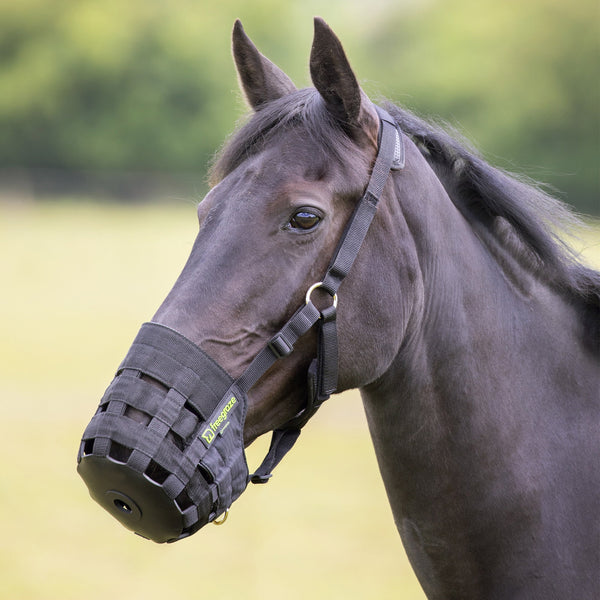Comfort Grazing Muzzle - Black