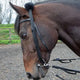 Lunging Adapter - Black