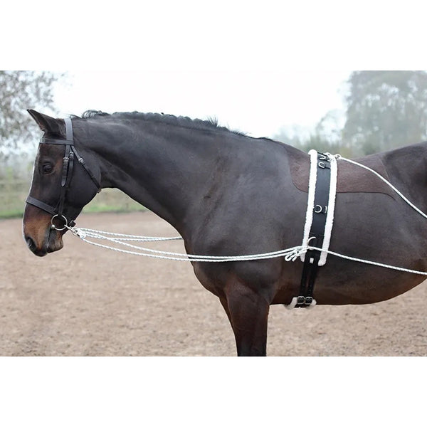 Lunging Aid - Black