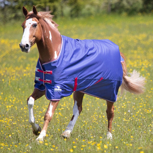 Tempest Original Air Motion Turnout Rug - Navy