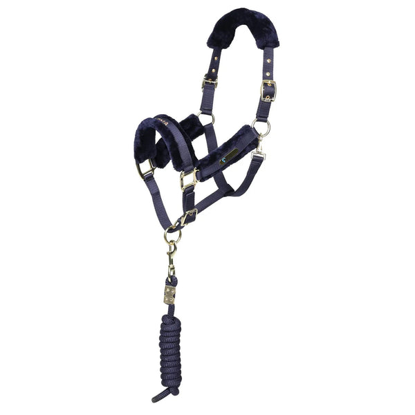 ARMA Logo Headcollar and Lead Rope - Navy