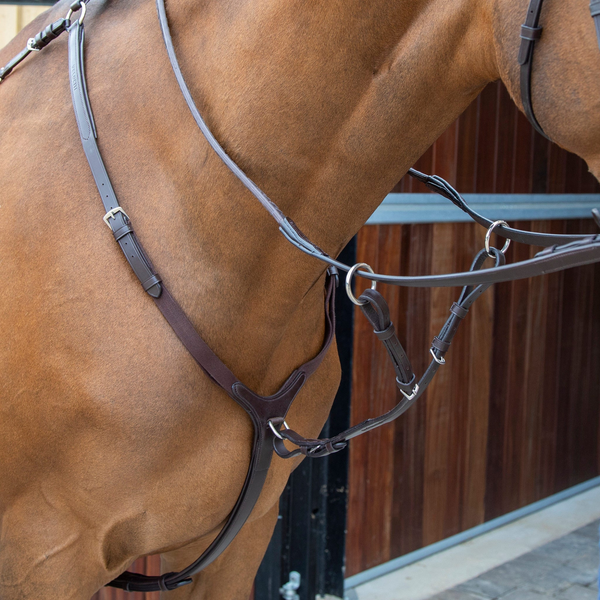 Lusso Running Martingale - Havana