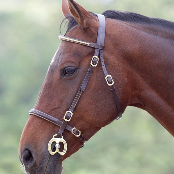 Velociti GARA Clincher Inhand Bridle - Havana