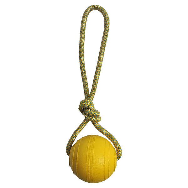 Hemmo and Co Floating Ball With Rope Throwing Handle