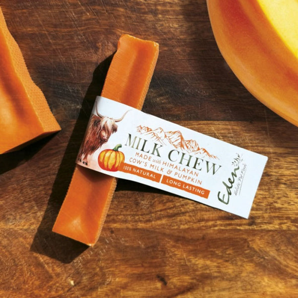 Eden Medium Pumpkin Milk Chew