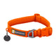Ruffwear Front Range Collar - Blaze Orange