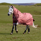 LeMieux Arika Star Turnout Rug 100g - Spiced Earth