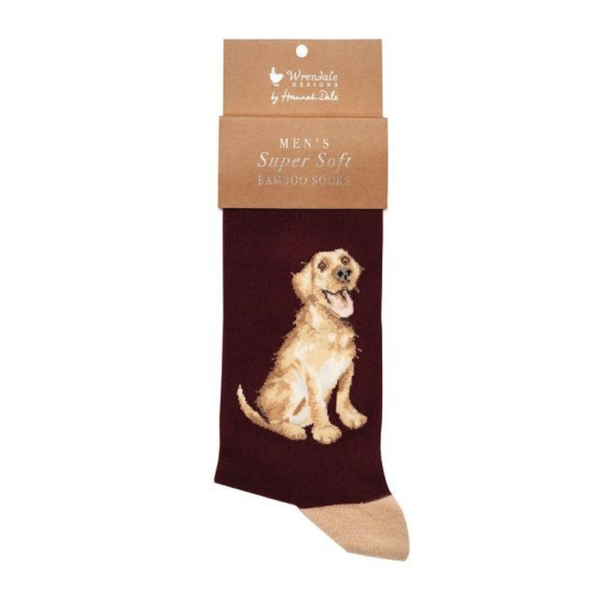 Wrendale Golden Labrador Mens Socks - Good as Gold