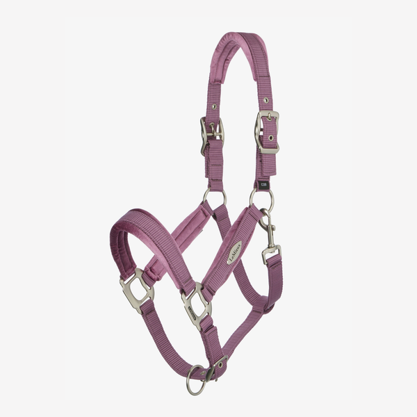 LeMieux Versailles Headcollar - Mallow