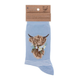 Wrendale Cow Sock - Daisy Coo
