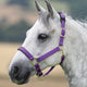 Shires Topaz Headcollar - Purple