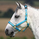 Shires Topaz Headcollar - Blue