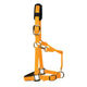 KM Elite Padded Headcollar - Orange
