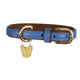 Digby and Fox Padded Leather Dog Collar - Royal