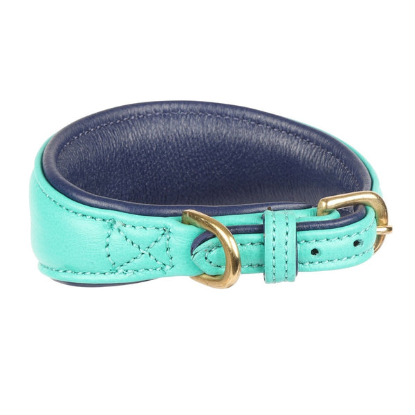 Digby and Fox Padded Leather Greyhound Collar - Teal