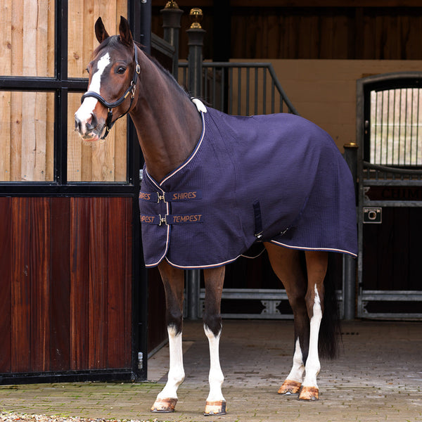 Tempest Original Waffle Rug - Navy
