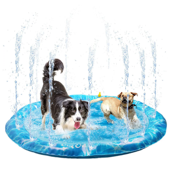 All For Paws Chill Out Sprinkler Fun Mat
