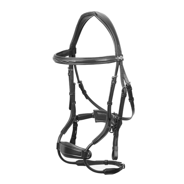 LeMieux Kudos Clear Arc Bridle - Black/Silver