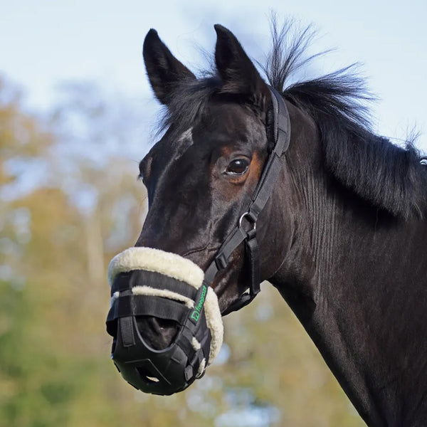 FreeGraze AirFlow Grazing Muzzle Padded - Black
