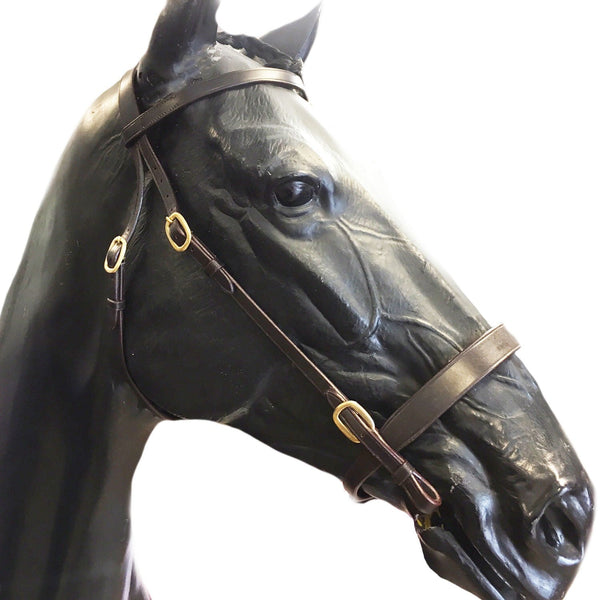 Cameo In Hand Bridle With Lead - Brown
