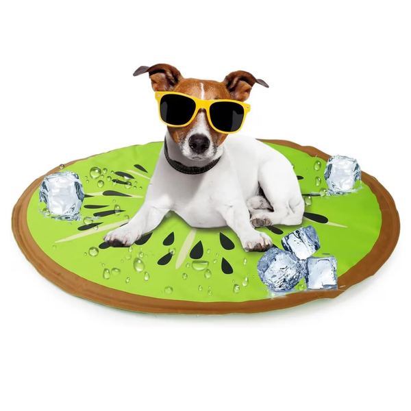 All For Paws Chill Out Kiwi Cooling Mat
