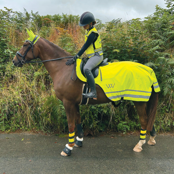 Woof Wear Hi Vis Exercise Sheet - Yellow