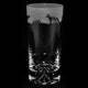 The Milford Collection Fox Highball Tumbler