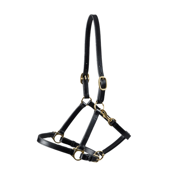 Premier Equine Pasco Plain Leather Head Collar - Black
