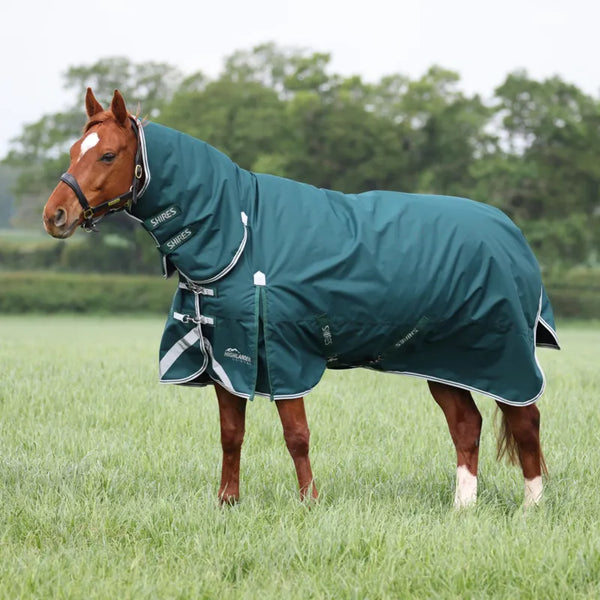 Highlander Original 300 Combo Turnout Rug - Green