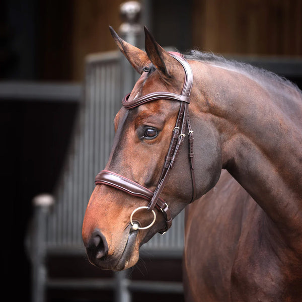 Velociti Lusso Elite Padded Cavesson Bridle - Havana