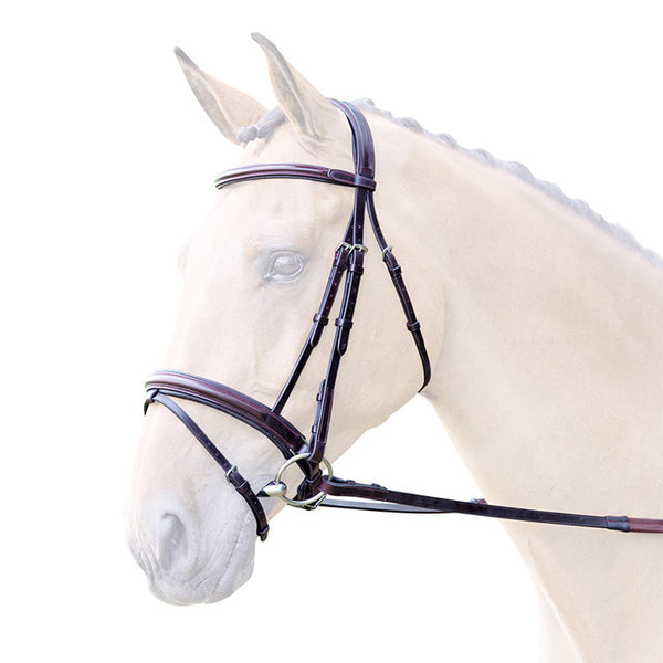 Bridleway Lavello Padded Crank Flash Bridle - Havana