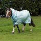 Winnie and Me Fly Combo Rug - Blue