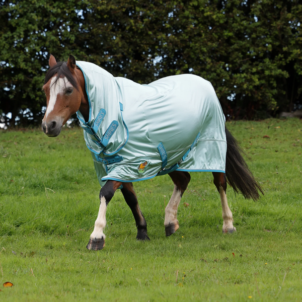 Winnie and Me Fly Combo Rug - Blue