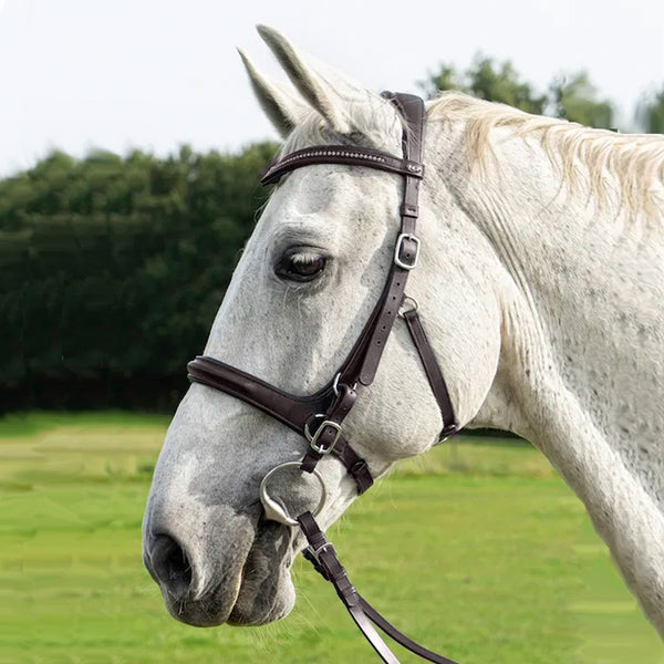 F.R.A Runa Combi Bridle - Havana